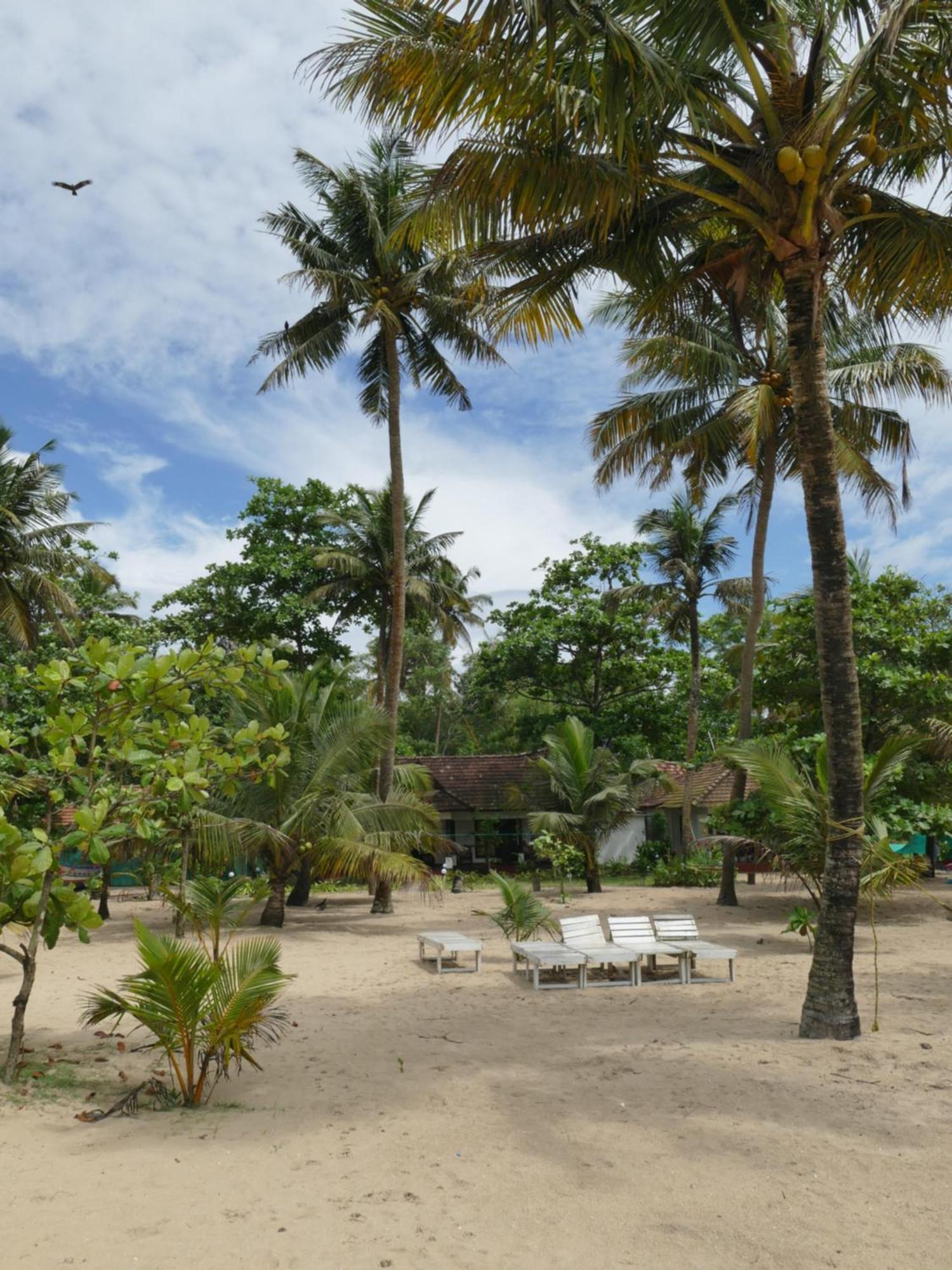 Marari Sealap Beach Villas มาราริคุลาม ภายนอก รูปภาพ